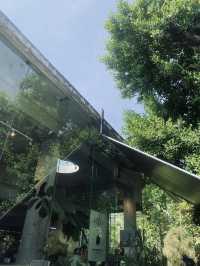 🌳 ปูรณ์-POON คาเฟ่บางแสน ถ่ายรูปสวยทุกมุม!☕️