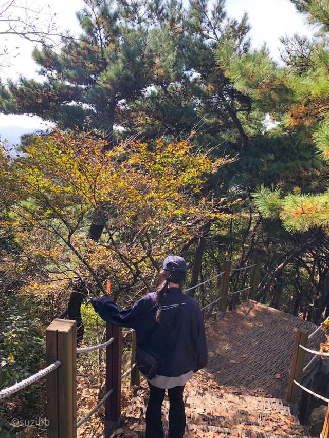 날좋을땐 등산이지, 경기도에서 가기 좋은 등산코스!