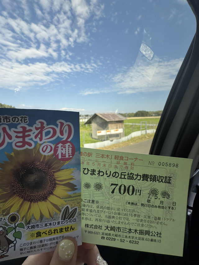 【宮城県大崎市】三本木地区の菜の花まつり