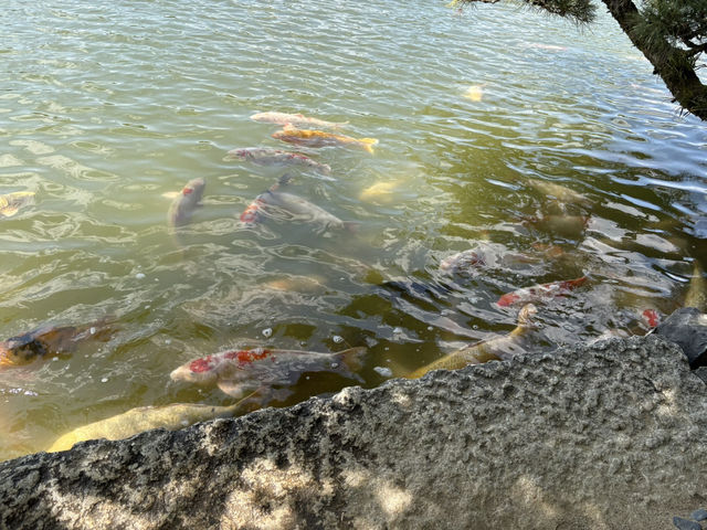 岡山後楽園
