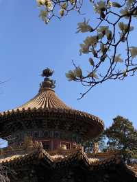 JINGSHAN PARK วิวหลักล้าน ควรค่าแก่การมา ✨🌸