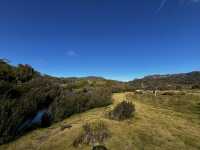 Discover the scenic view & wombats sightings at Cradle Mountain Ronny Creek walk