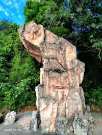 Replica dragon teeth