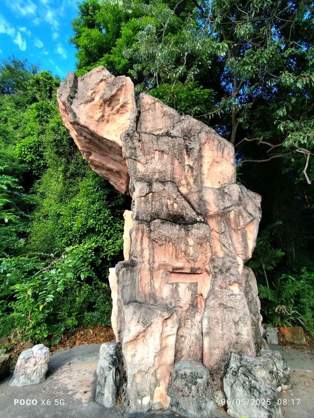 Replica dragon teeth
