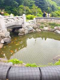🪷부처님 오신날에 여긴 꼭 가야죠!🪷