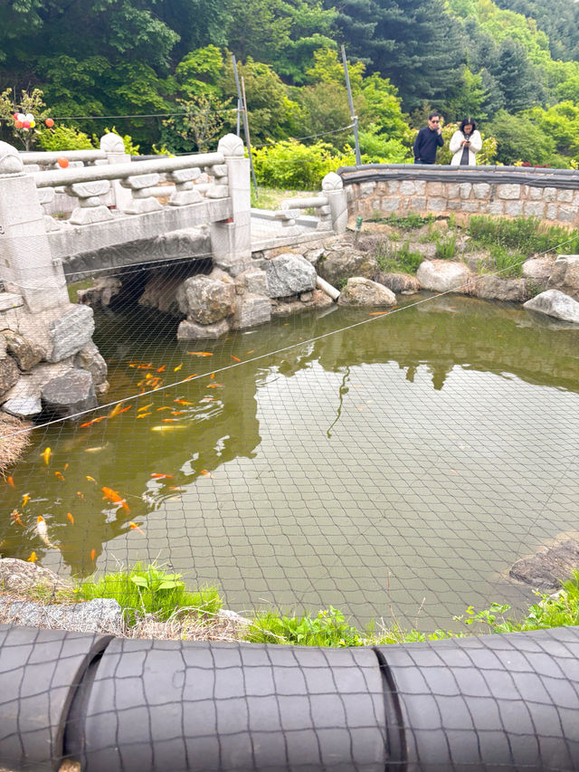 🪷부처님 오신날에 여긴 꼭 가야죠!🪷