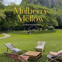 Mulberry Mellow กาญจนบุรี