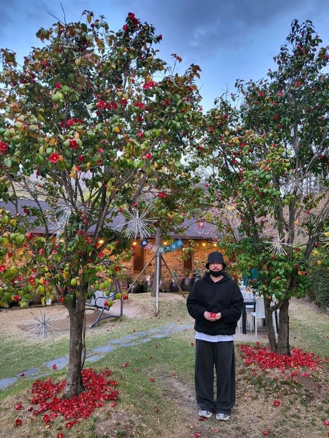 동백꽃 시즌에 정말 예쁜 부산 정원카페