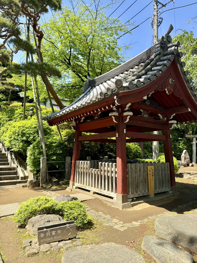 A Peaceful Spring Day at Gokokuji Temple