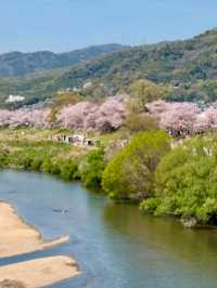 Blossoms & a Hidden Escape