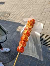칭다오여행