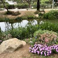 Shenzhen’s Hidden Gem: 人民公园 (People’s Park)