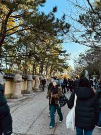 釜山海東龍宮寺｜海岸線上最美的寺廟🌊