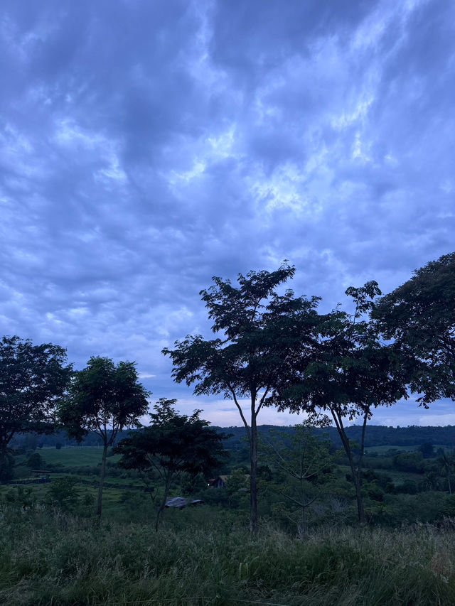 Route 3060 ลานกางเต็นท์วิวเขา วังน้ำเขียว ราคาดี