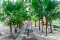 ราชินีแห่งพระเจดีย์ของภาคใต้ วัดเขียนบางแก้วพัทลุง