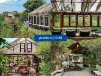 รวม 8 คาเฟ่หัวหิน - ปราณบุรี