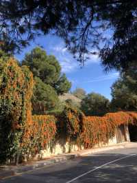 The 24-Hour Challenge. Your perfect day in Malaga, Spain 🇪🇸