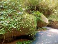อุทยานแห่งชาติภูลังกา (ถ้ำนาคี)
