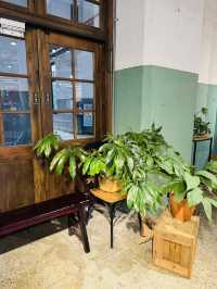 Basketball Plant Pots? Count Me In