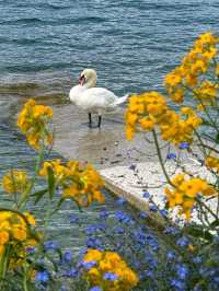 Montreux – The Swiss Riviera’s Timeless Charm