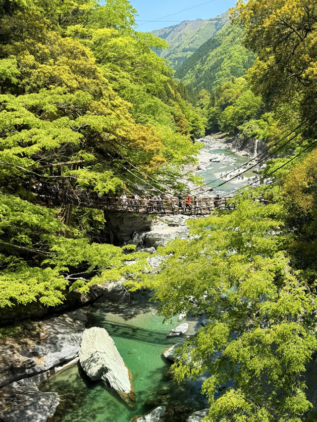 德島｜心跳加速產生戀愛錯覺的橋？ 日本三大奇橋祖谷藤蔓橋