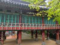 내장산국립공원