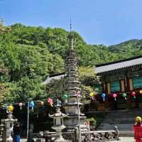 Hadong Ssanggyesa Temple (Hadong)