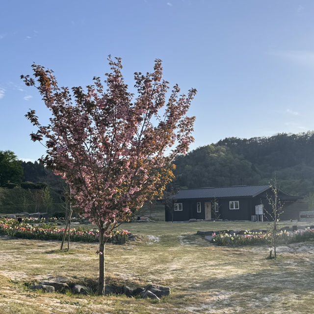 📍日本鳥取。大山住宿。北歐風小木屋OLIF。