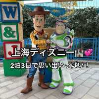 【上海ディズニー】2泊3日で充実旅✈️🤍