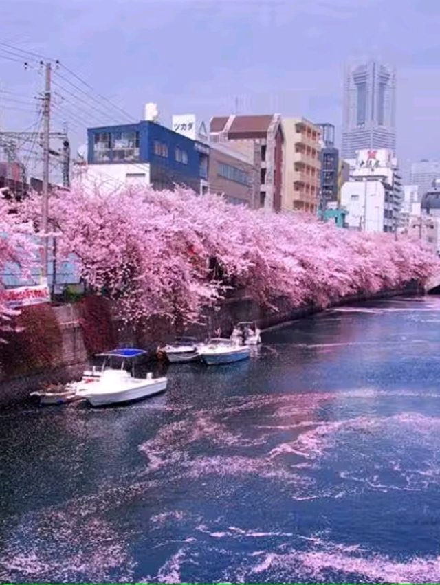 Yokohama – Japan’s Vibrant Port City with a Global Heart