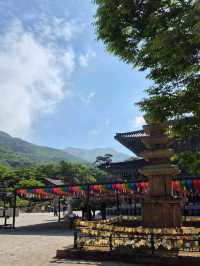 🕍 Dogapsa Temple: A Peaceful Escape into Korea’s Spiritual Heritage