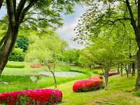 Ulsan Grand Park: South Korea’s Largest Urban Oasis