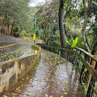 Refreshing Escape on Mt Qinglong Trail