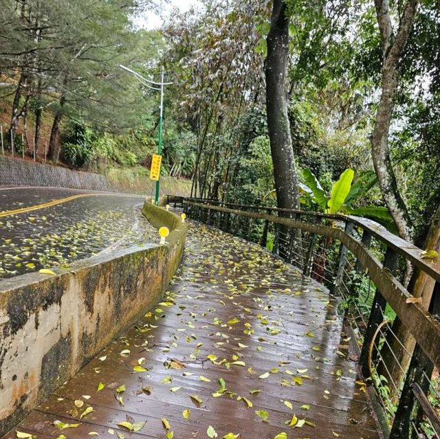 Refreshing Escape on Mt Qinglong Trail