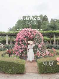 【東京おでかけスポット】神代植物公園バラが見ごろ！公共交通機関で行ける5月〜6月おすすめ