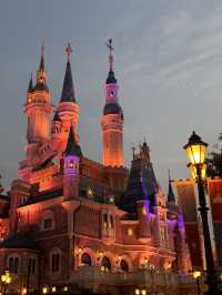 My Amazing Trip to Shanghai Disneyland 🇨🇳✨