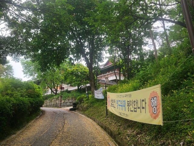 보광사 공양하러 가는날