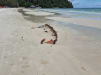 A night in Koh Rong