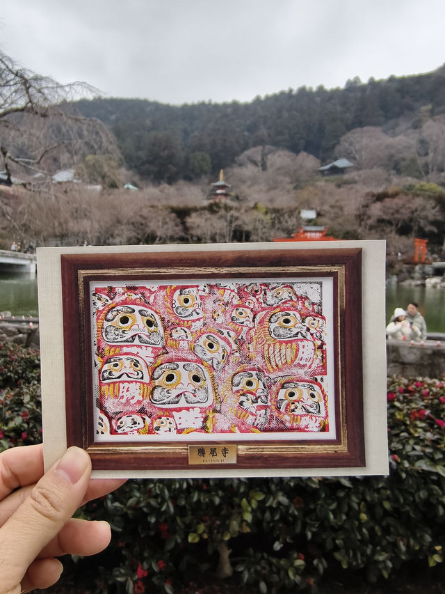 滿佈可愛達摩的勝尾寺