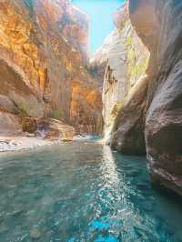 Dare to Climb: Conquering Angels Landing in Zion