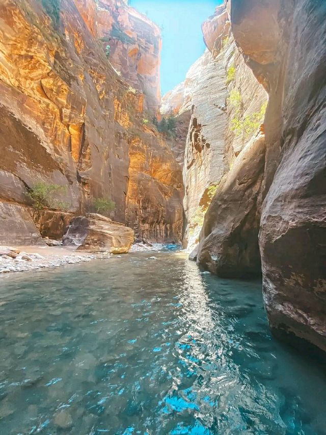 Dare to Climb: Conquering Angels Landing in Zion
