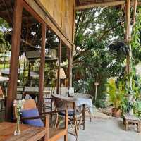 คาเฟ่สไตล์ธรรมชาติ - DIN CAFE ดินคาเฟ่ เชียงใหม่