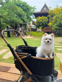 Beautiful restaurant in Siem Reap!