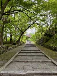 A Gentle Day in Yamashina – Temples, Trails & Tea