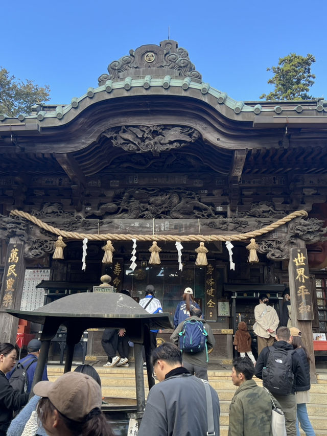 Mount Takao: A Refreshing Escape for Beginners