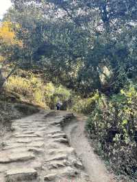 Tiger’s Nest Monastery – A Sacred Trek That Tests Your Limits
