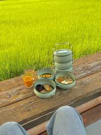 บ้านพักกลางทุ่งนาสีเขียวขจี ใกล้เมืองเชียงใหม่ 💚🌾