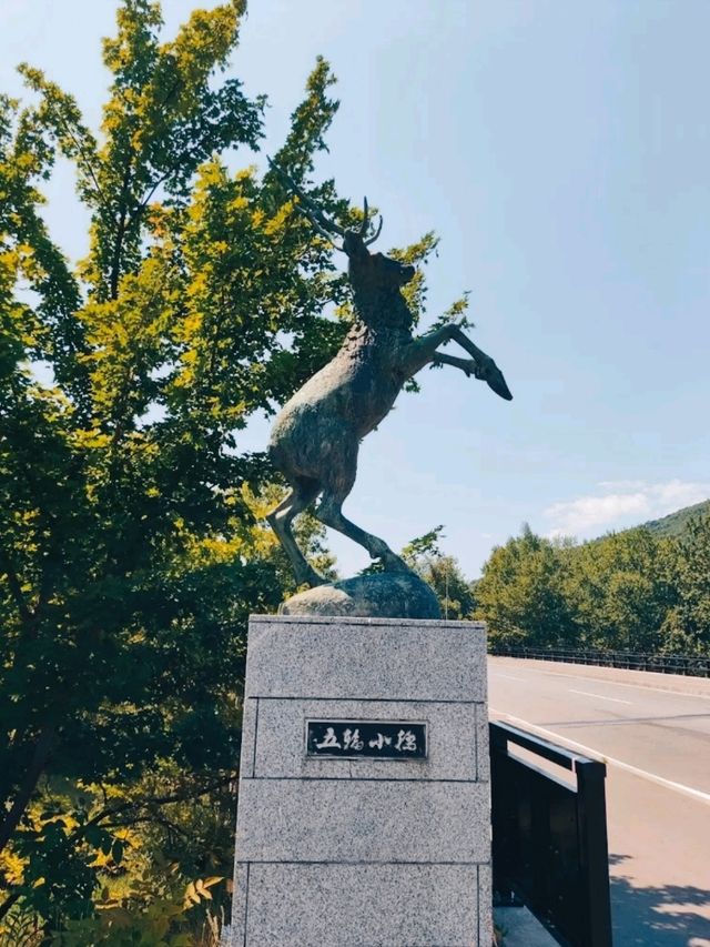 MAKOMANAI PARK.