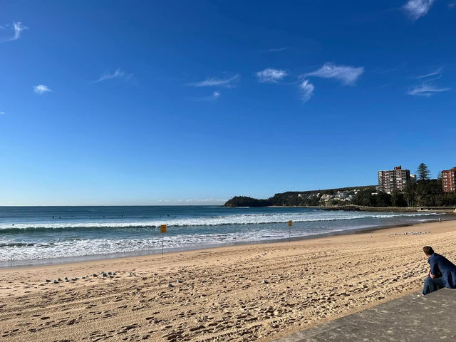 Manly to Shelly Beach – A Coastal Walk Worth Slowing Down For