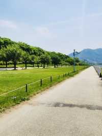 A Refreshing Escape at Misa Lake Park (미사호수공원), Hanam